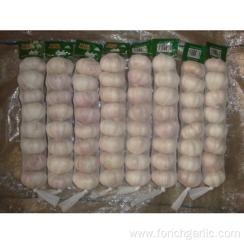 Normal White Garlic In Small Mesh Bag